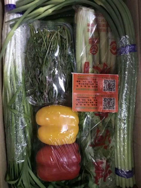 【深读】金融助力山东蔬菜种业发展_中国银行保险报网