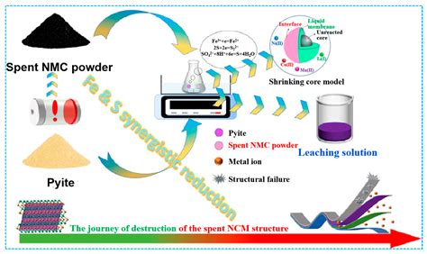 Recent Advances and Future Prospects of Lithium Recovery from Low-Grade ...