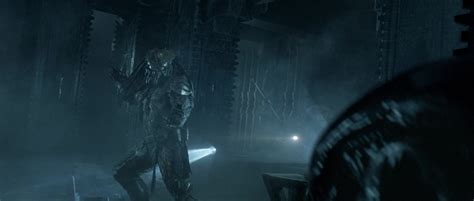 Image result for Alien vs Predator Cover