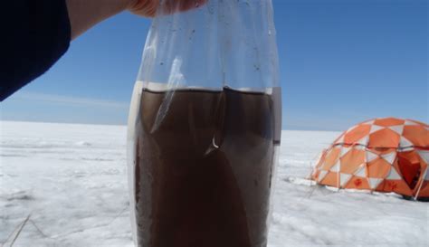 Giant Viruses Discovered For The First Time In Greenland, They Could ...