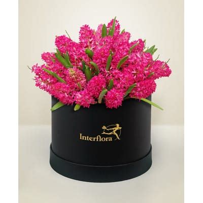 Purity essence: Order Flowers Online | Interflora India | ID1357028