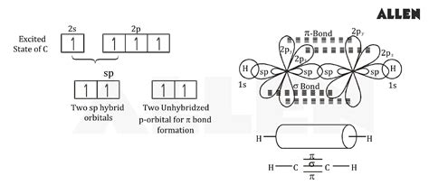 Understand Hybridization of Carbon in Organic Compounds.