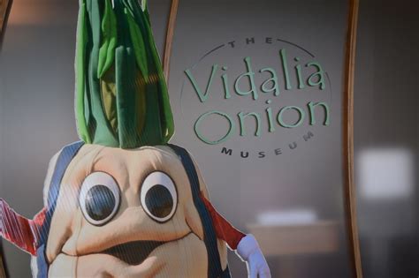 Best Things to Do in South Georgia | Explore Georgia