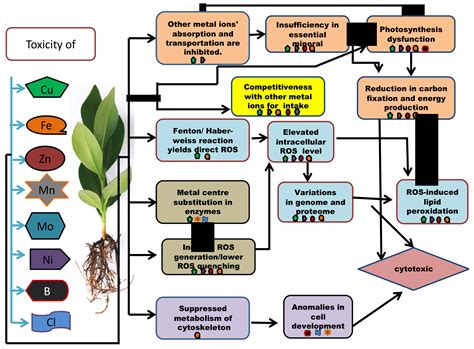 Plants Effect On Humans at Archie Franklyn blog