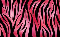 Zebra Print Designs by Animal Print 31 Horizontal Design Zebra Print Designs