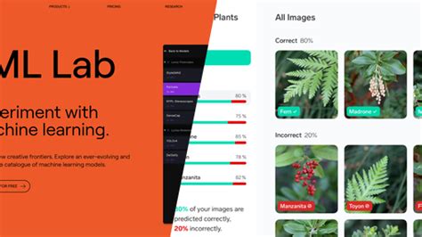 Vvvv Visual Programming 的图像结果