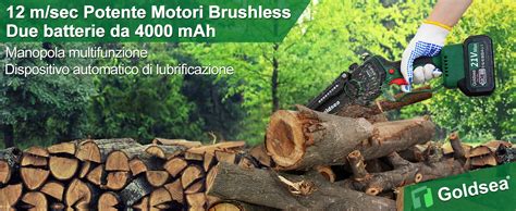Mini Motosega A Batteria 880W 6 Pollici - 2 Batterie 8000mAh, Caricatore Rapido, Per Potatura E Taglio Legno