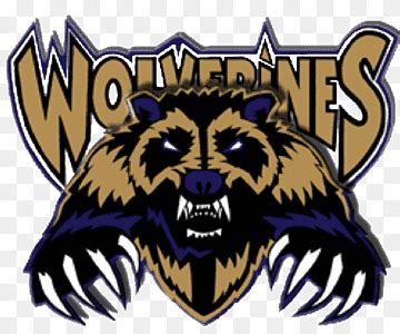 Free download | Salisbury Composite High School Michigan Wolverines ...