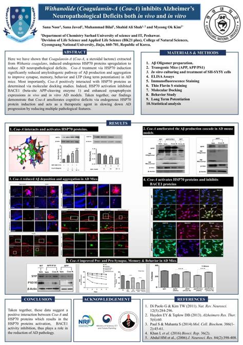 Conference Poster Sample 的图像结果