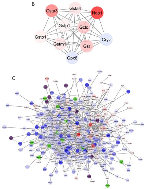 The Gut Microbial Metabolite Pyrogallol Is a More Potent Inducer of ...