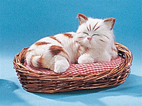 StealStreet SS-F-C188D Furry Catnap Cute Cat Kitty Sleeping In Basket ...
