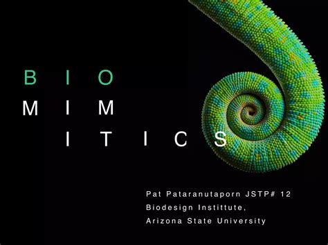 Image result for Biomimetics Examples