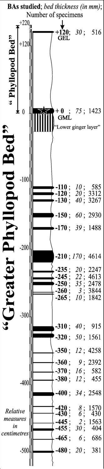 Image result for CYK Algorithm Explained