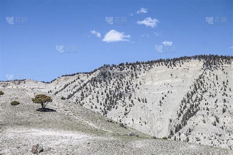 乔治 华盛顿 和 杰斐逊 国家 公园 的图像结果
