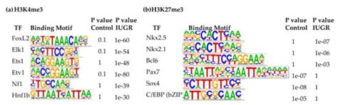 Altered Transcription Factor Binding and Gene Bivalency in Islets of ...