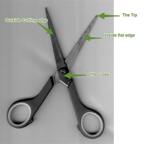 Image result for How to Sharpen Kitchen Scissors