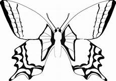 ausmalbilder tiere schmetterling malvorlagen schmetterling 9 ausmalbilder ausmalen ausmalbilder tiere schmetterling malvorlagen schmetterling 9 ausmalbilder ausmalen