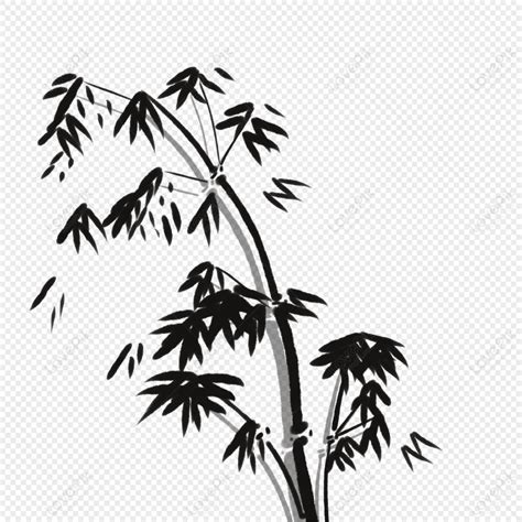 Image result for Negative String Slicing in Python
