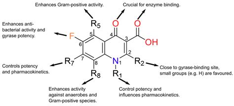 Quinolones: Mechanism, Lethality and Their Contributions to Antibiotic Resistance