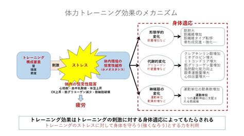Image result for Call Script Page Format