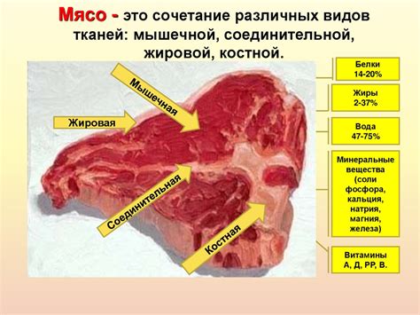 Технология первичной обработки мяса - online presentation
