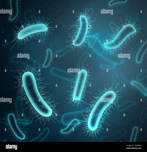Closeup view of bacteria under microscope. Illustration Stock Photo - Alamy