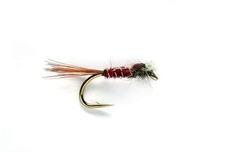 Image result for Muskin Fly Pattern