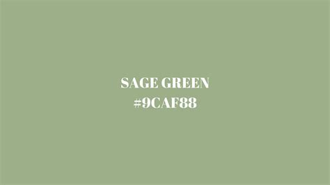 Sage Green - Color Details and Use in Design | ImagineArt