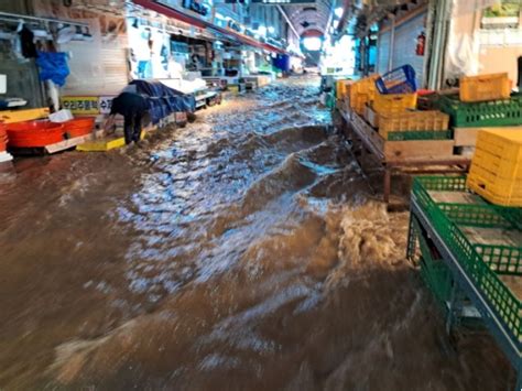 解析！是什么酿成韩国首都圈的罕见特大暴雨？-中国科技网