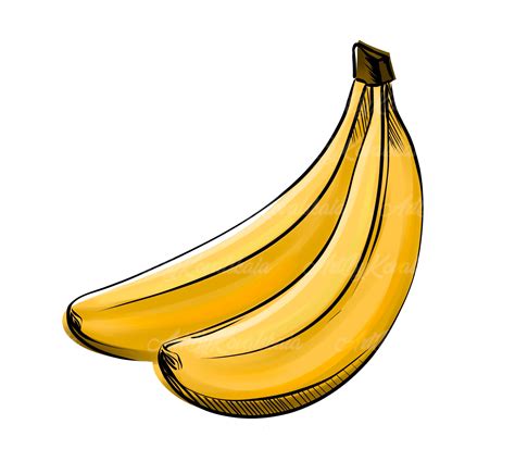 Bananas Clipart, Banana PNG, Fruits Clip Art, Digital Download - Etsy