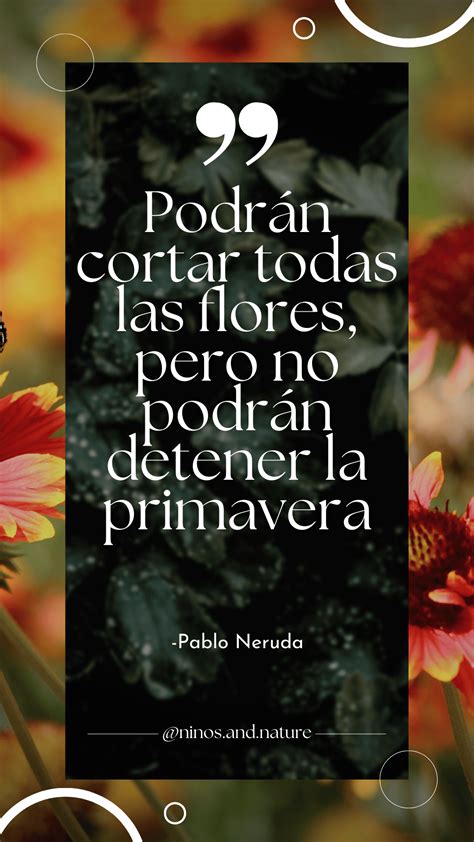 10 Beautiful Nature Quotes and Sayings in Spanish and English | Niños & Nature