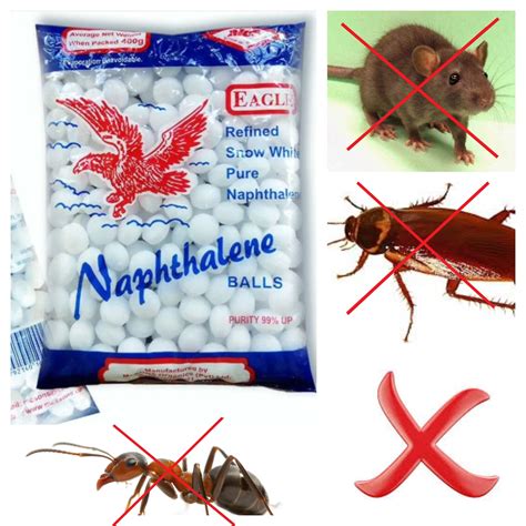 Does Moth Balls Kill Possums at Wayne Owen blog