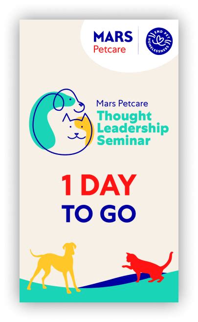 Visual Identity and Content Design for MARS Petcare