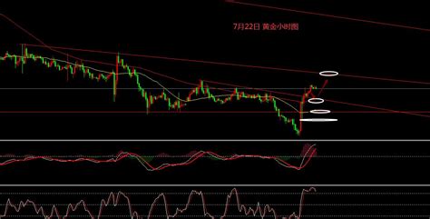 张文辉：黄金下探回升震荡修正 原油_中金在线财经号