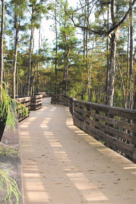 North Collier Regional Park | Collier County Parks & Recreation