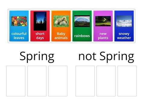 Image result for Sort Spring Worksheet