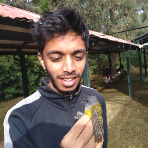 Peninsular birds - SHOLA SKY ISLANDS