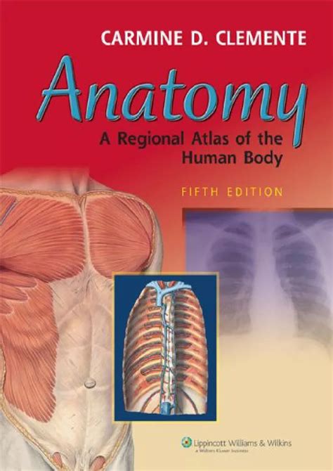系统解剖学 第八版（高清pdf） 本科院校教科书下载,医学电子书