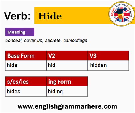 Hide V1 V2 V3 V4 V5, Past Simple and Past Participle Form of Hide ...