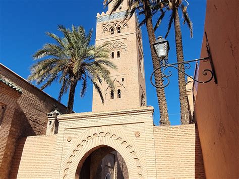 DAILY MARRAKESH TOURS (2026) All You Need to Know BEFORE You Go (with ...