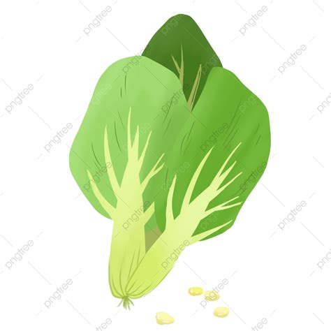 Vegetables White Transparent, Vegetables, Green Vegetables, Healthy ...