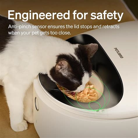 PETLIBRO Automatic Cat Feeder Wet Food Refrigerated India | Ubuy