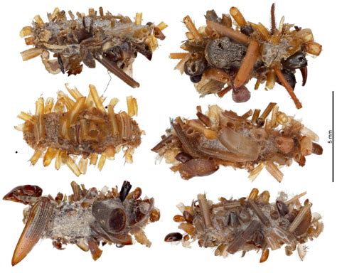 4Chan Archives - VICE