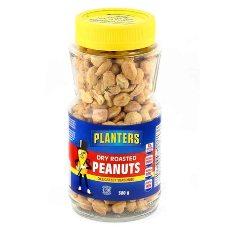 Dry Roasted Peanuts - Delicately Seasoned | Planters Canada