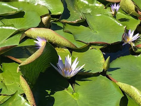 IBERA LODGE (Boqueron) - Lodge Reviews, Photos, Rate Comparison ...