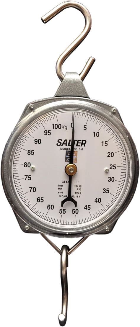 Salter Hanging Scale 235-6M 100Kg by Salter India Ltd : Amazon.in: Bags ...