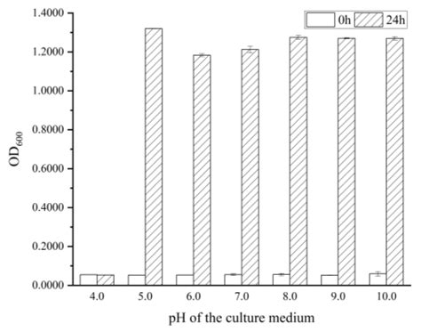 Antibacterial Mechanism of Rhamnolipids against Bacillus cereus and Its ...