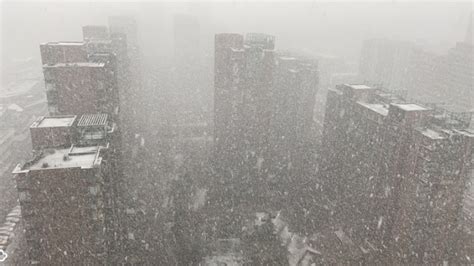 北京下雪了的qq说说 - 个性说说