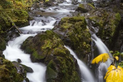 Discover Lake Crescent: A Gem Of Washington State