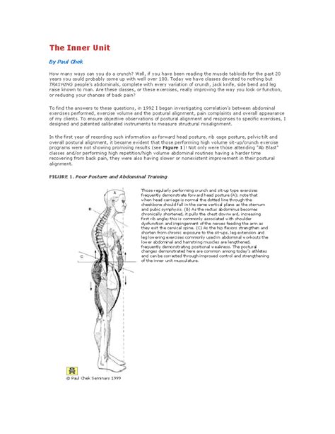 The Inner Unit Core Muscles collected from other sources - The Inner ...